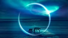 Frozen Planet II izle