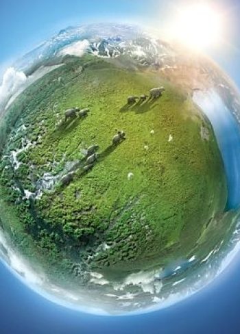 Planet Earth II