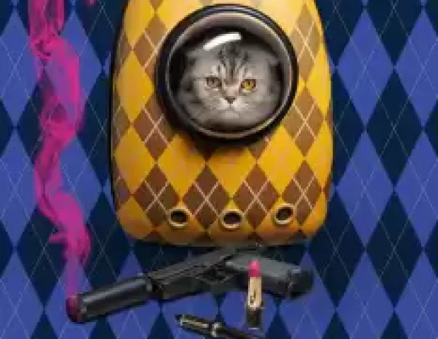 Argylle: Gizli Casus