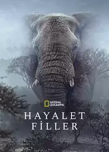 Hayalet Filler