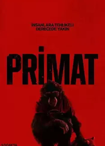 Primate