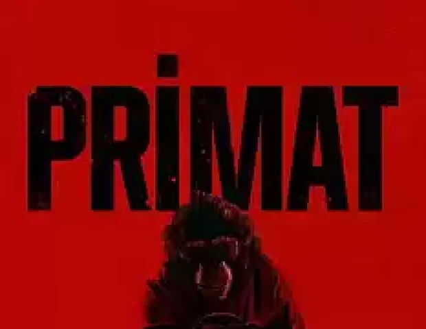 Primate